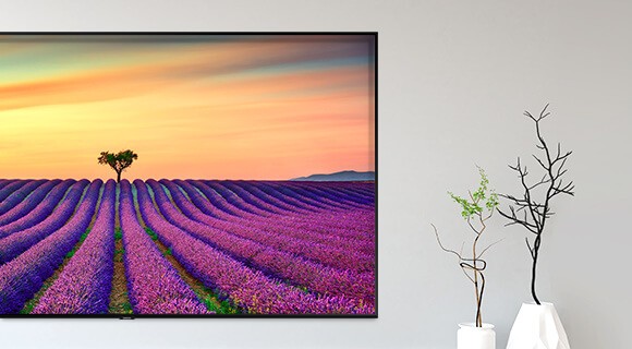 Samsung QLED Ambient Mode Künstler
