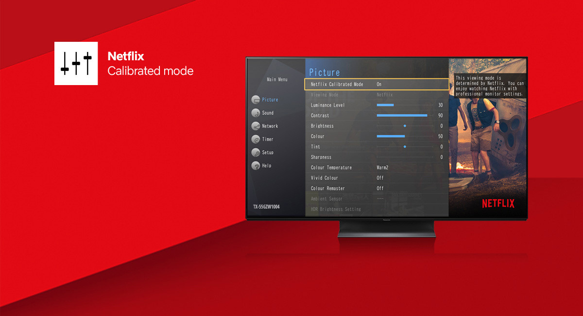 Panasonic Netflix Modus
