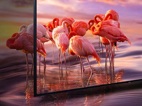 Samsung Q60R Farbvolumen