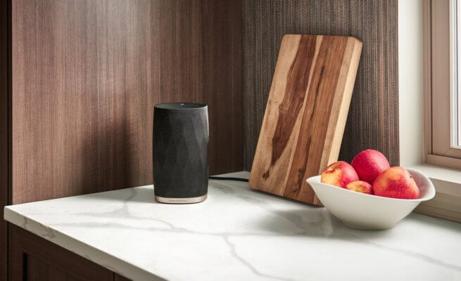 B&W Formation FLEX Speaker