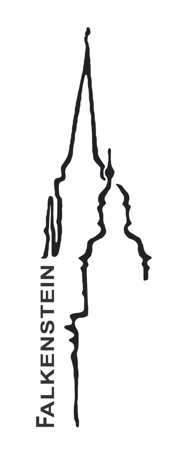 Stadt Falkenstein/Vogtl. Stadt Falkenstein/Vogtl.